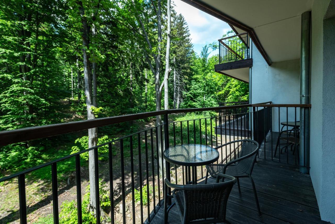 Apartmament Nowy Widok Na Las Шклярска-Поремба Экстерьер фото